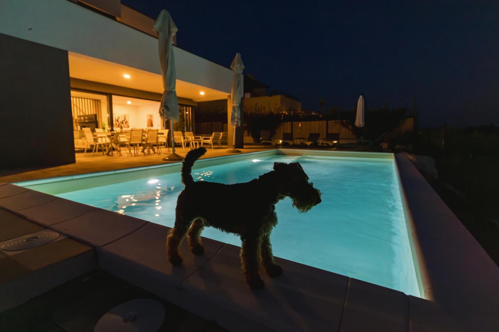 Villa Boiky - Private Pool And Amazing Sea View, Istria Materada Dış mekan fotoğraf